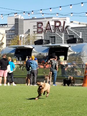 Fetch Park Buckhead by null