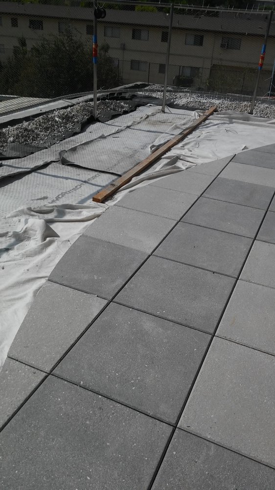 Slide of K & S Trejo