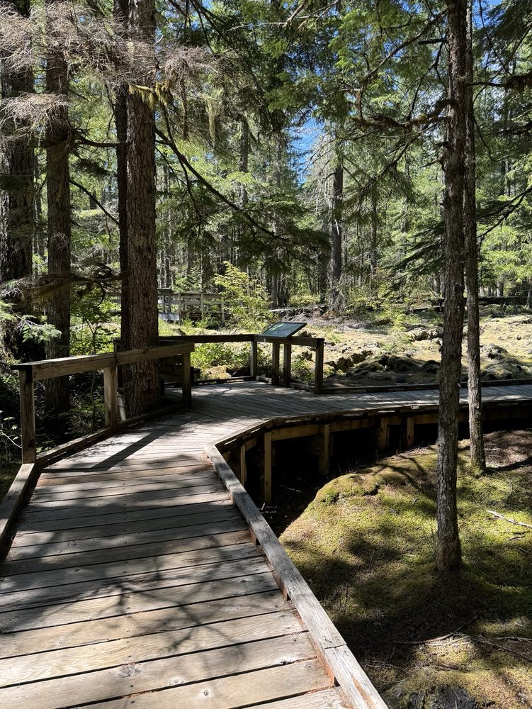 Trail of Two Forests Interpretive Site Logo