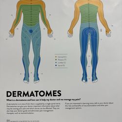 Nuvation Pain Group