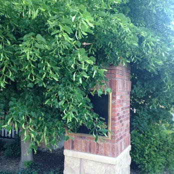 American Design & Landscape - Overgrown trees, blocking sidewalk! - Landscaping Near Me - Parker, Colorado American Design & Landscape - Overgrown trees, blocking sidewalk! - Landscaping Near Me - Parker, Colorado