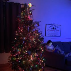 Santas Tree Farm and Village - Santa Christmas Tree farm tree in its glory!