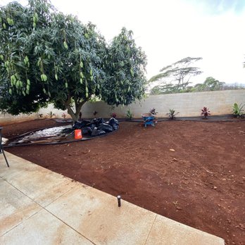 Hawaii Scenescape - Progress pic - ti leaves installed in back planter - Landscaping Near Me
