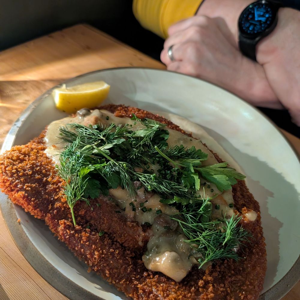 Feral - Seitan schnitzel - Vegan Near Me - Portland, Oregon Feral - Seitan schnitzel - Vegan Near Me - Portland, Oregon