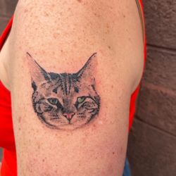 Chroma Tattoo - Flip the missing cat
