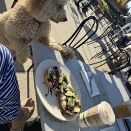 Dog friendly patio