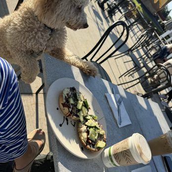 Cafe Julia - Dog friendly patio - Breakfast & Brunch Near Me - South Haven, Michigan