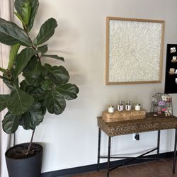 Sempre Day & Medical Spa