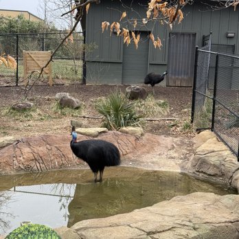 Greensboro Science Center - Zoos Near Me - Greensboro, North Carolina Greensboro Science Center - Zoos Near Me - Greensboro, North Carolina