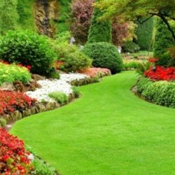 Custome Cut Lawn Maintenance - untitled