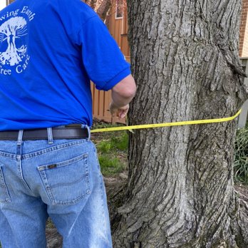 Growing Earth Tree Care - Growing earth tree inventory - Tree Services Near Me Growing Earth Tree Care - Growing earth tree inventory - Tree Services Near Me