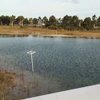 Miramar Pineland Park - Overlooking the water at Wetland trail - Parks Near Me - Miramar, Florida