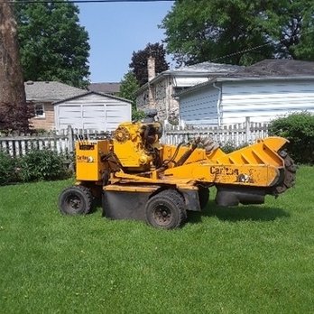Birchwood Tree Services - Birchwood Services is a highly skilled professional tree service company in the Northwest Suburbs... - Tree Services Near Me - Arlington Heights, Illinois Birchwood Tree Services - Birchwood Services is a highly skilled professional tree service company in the Northwest Suburbs... - Tree Services Near Me - Arlington Heights, Illinois