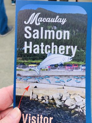 DIPAC Macaulay Salmon Hatchery by null