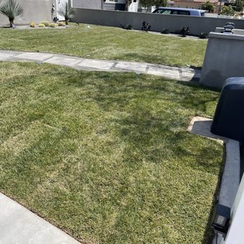 Amado Landscaping - Finished work - Landscaping Near Me - Hawthorne, California Amado Landscaping - Finished work - Landscaping Near Me - Hawthorne, California