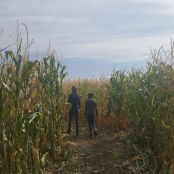 Maize in the City - Beautiful Saturday afternoon! - Attraction Farms Near Me - Thornton, Colorado