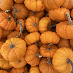 Reston Farm Garden Market
