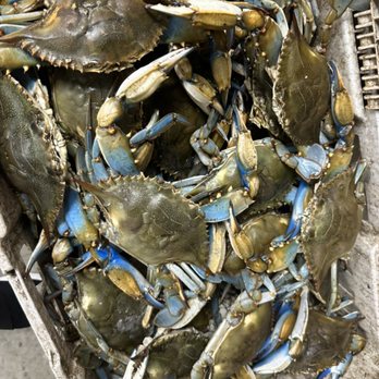 Royal Seafood Mart - Live crab dairly !!! Size small , medium , large and jumbo - Seafood Near Me - Broussard, Louisiana