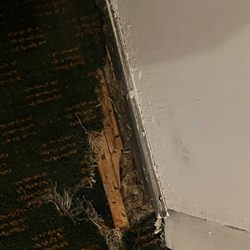Lava Spa Motel & RV Park - On proper maintenance by front door, also allowing that tax strip to scrape or poke you or your children