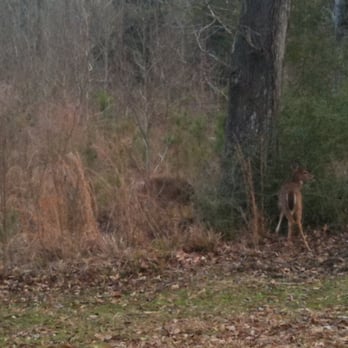 Fontainebleau State Park - Parks Near Me - Mandeville, Louisiana