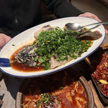 Mountain House - Green Spicy Whole Fish - Szechuan Near Me - Rowland Heights, California Mountain House - Green Spicy Whole Fish - Szechuan Near Me - Rowland Heights, California