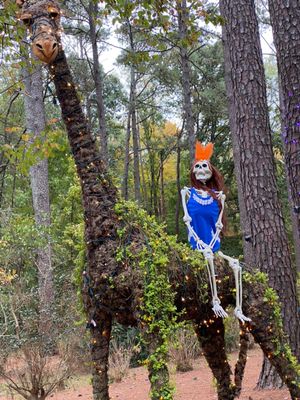 Cape Fear Botanical Garden by null