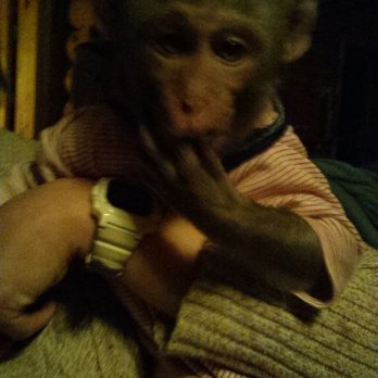 Settler’s Pond - Loreal - Animal Shelters Near Me - Beecher, Illinois