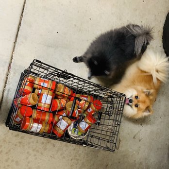 Nevada Humane Society - Recent donation after the Humane Society's request for peanut butter! Both my pups are from the shelter and we love giving back. - Animal Shelters Near Me - Reno, Nevada Nevada Humane Society - Recent donation after the Humane Society's request for peanut butter! Both my pups are from the shelter and we love giving back. - Animal Shelters Near Me - Reno, Nevada