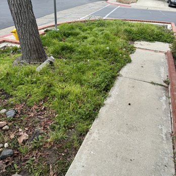 R&M Lawn Services - Before - After clean up - Lawn Services Near Me R&M Lawn Services - Before - After clean up - Lawn Services Near Me