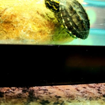 Zookeeper - Pet Stores Near Me - Austin, Texas