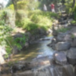 Pickie Family Fun Park