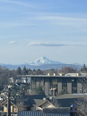 SCP Redmond Hotel by null