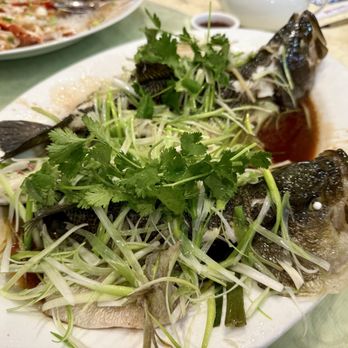 Kirin Court Chinese Restaurant - Dim Sum Near Me - Richardson, Texas
