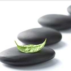 Intuitive Essentials