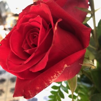 Miracle Flowers - Really? These are fresh flowers? - Florists Near Me - Folsom, California
