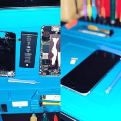 The Phone Jungle