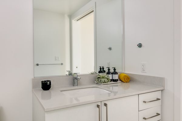 1717 Webster by null