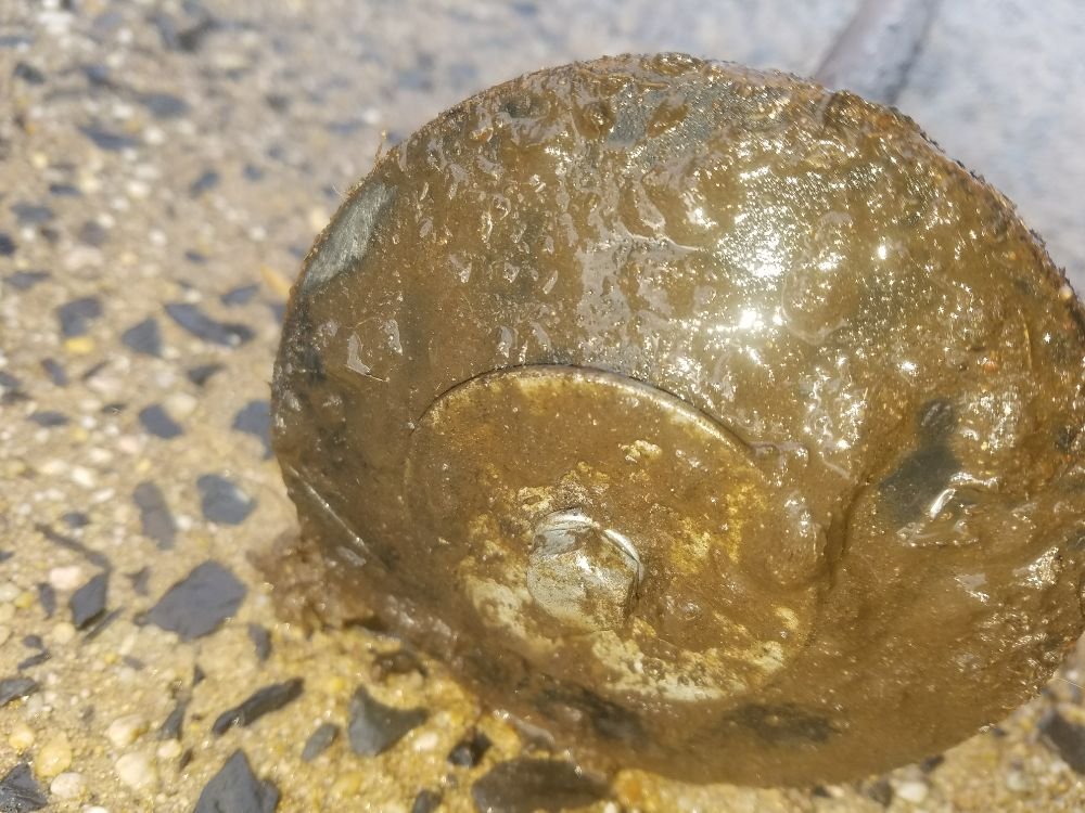 Slide of A & S Drain Cleaning