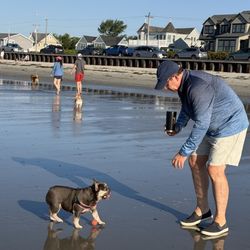 Gooch's Beach