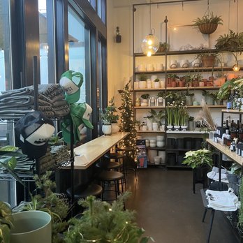 Mr West Coffee - Wooo plants and gear - Wine Bars Near Me - Seattle, Washington