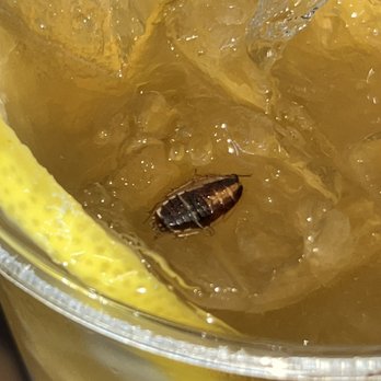 S7-Icy Bubble - Roach in my F6. Passion Guava Fruit Tea - Bubble Tea Near Me - Honolulu, Hawaii S7-Icy Bubble - Roach in my F6. Passion Guava Fruit Tea - Bubble Tea Near Me - Honolulu, Hawaii
