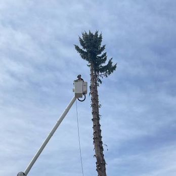 Cowboy Trail Tree Service - Tree Services Near Me - Calgary, Alberta Cowboy Trail Tree Service - Tree Services Near Me - Calgary, Alberta