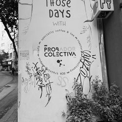 Probador Colectiva