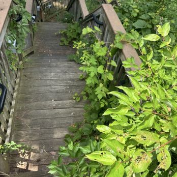 Chula Vista Resort - overgrown pathway to the boat dock - not maintained much like rest of "resort" - Resorts Near Me - Wisconsin Dells, Wisconsin Chula Vista Resort - overgrown pathway to the boat dock - not maintained much like rest of "resort" - Resorts Near Me - Wisconsin Dells, Wisconsin