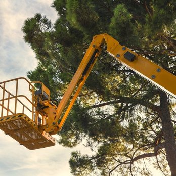 CC's Landscaping & Tree Service - Tree Services Near Me CC's Landscaping & Tree Service - Tree Services Near Me