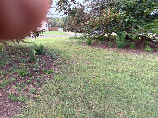 CleanUp and Lawn cut - This yard was in need of a cleanup and cut. Job was started on time and co.olet3d within a couple hours. CleanUp and Lawn cut - This yard was in need of a cleanup and cut. Job was started on time and co.olet3d within a couple hours.