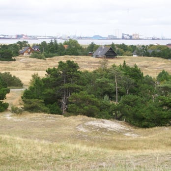 Kikkebjerg - Hotels & Travel Near Me - Fanø, 83