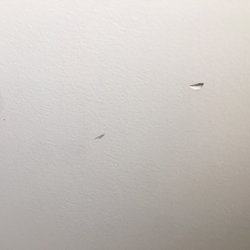 Best Buy - Willow Grove - Damaged wall