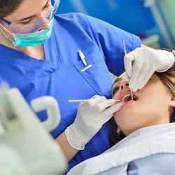 Kristine Sigworth, DDS