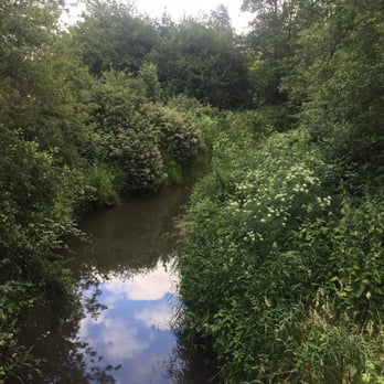 Fanno Creek Trail - The eponymous creek - Hiking Near Me - Portland, Oregon